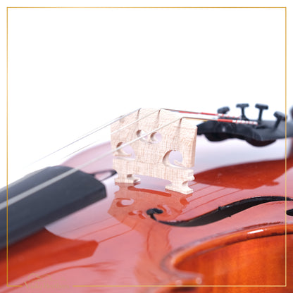 New Violin N2 4/4 | V22054