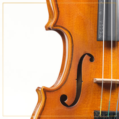 New Violin N1 1/4