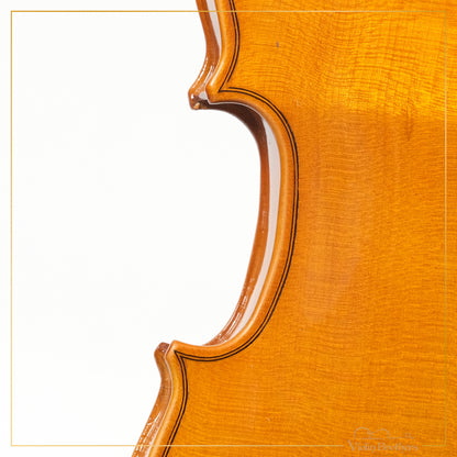 New Violin N1 1/4