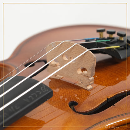 New Violin N1 1/4