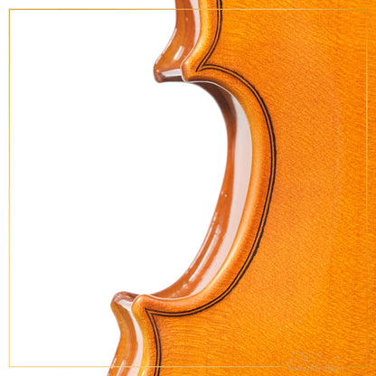 New Violin N1 1/8