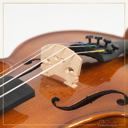 New Violin N1 1/2