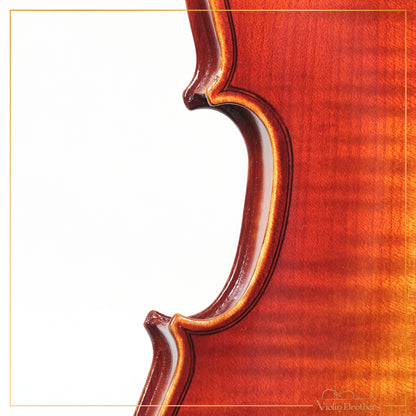New Violin N1a 1/4