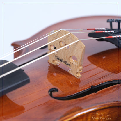 New Violin N4 3/4 | V21864