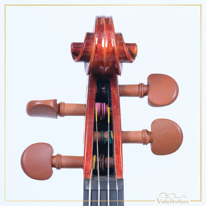 New Violin N2 3/4 | V21810