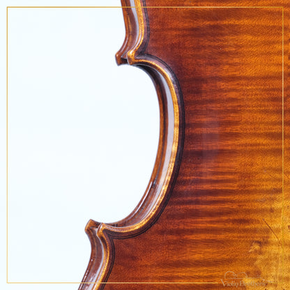New Violin N5 3/4 | V21843