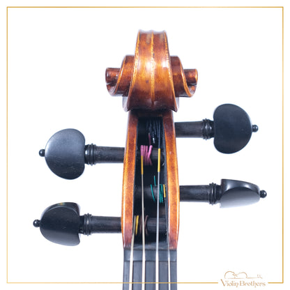 New Violin N5 3/4 | V21843