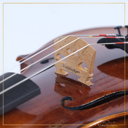 New Violin N5 3/4 | V21843