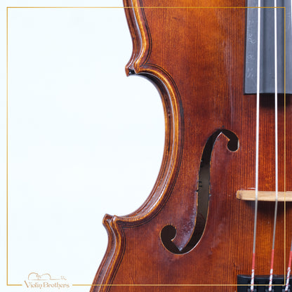 New Violin N5 1/2 | V21819