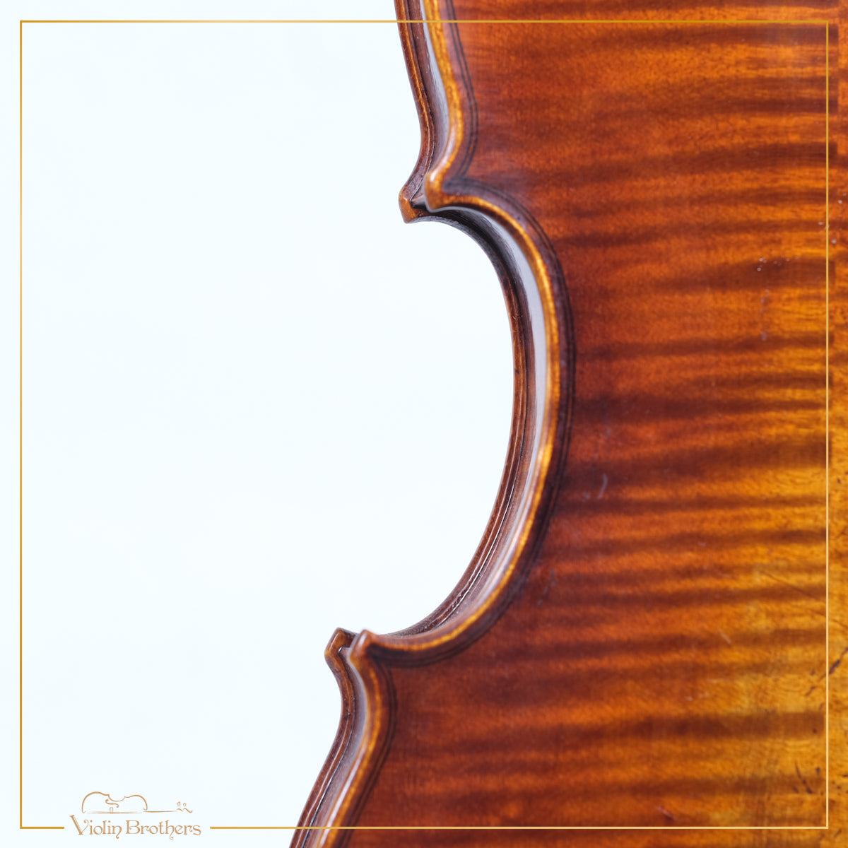 New Violin N5 1/2 | V21819