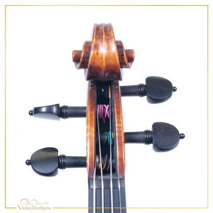 New Violin N5 1/2 | V21819