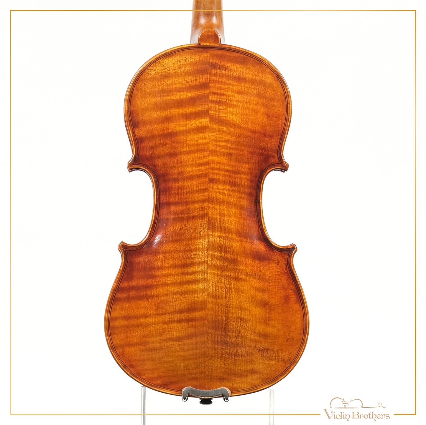 New Violin N5 1/4 | V19219