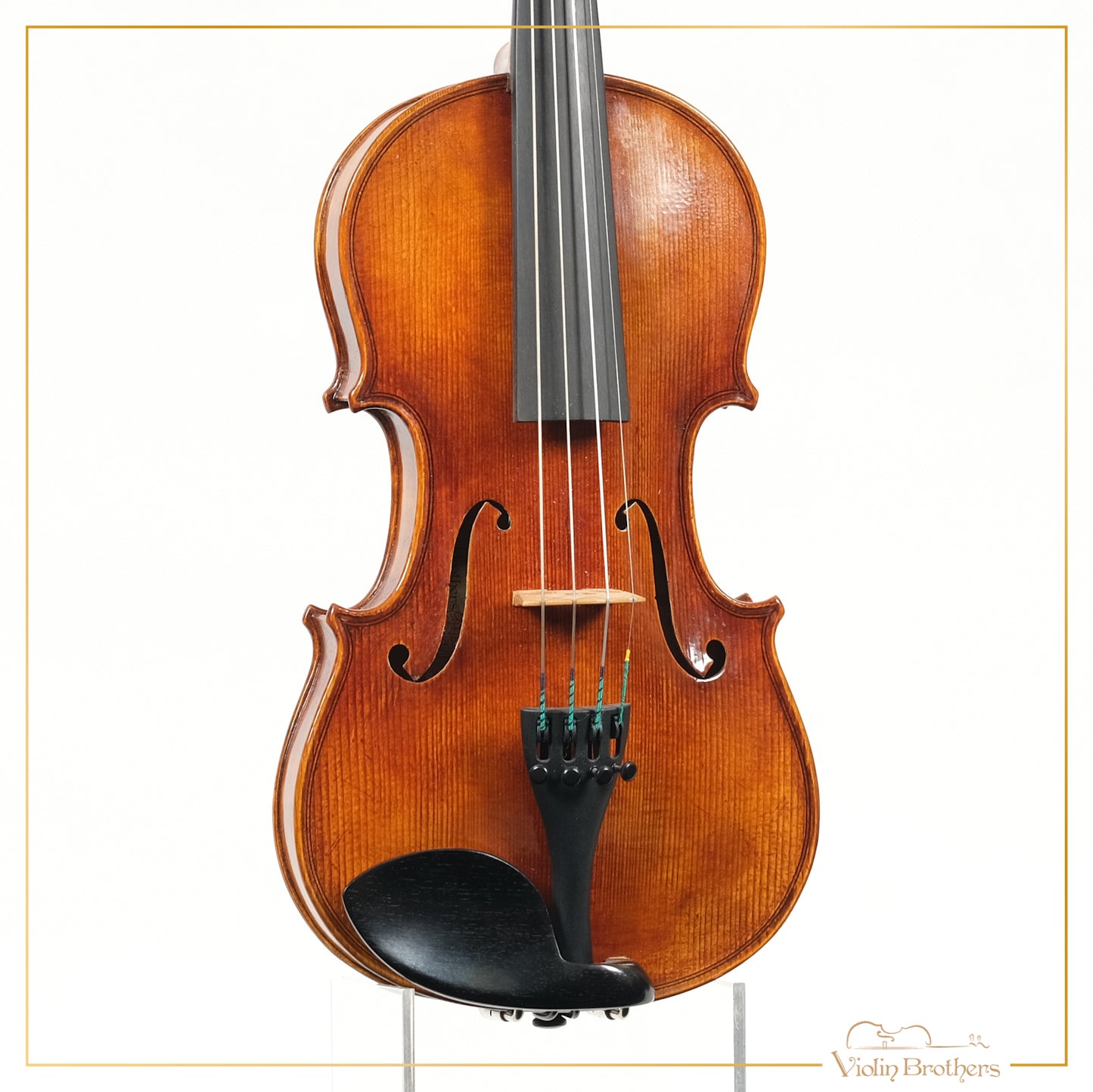 New Violin N5 1/4 | V19219