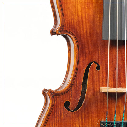New Violin N5 1/4 | V19219