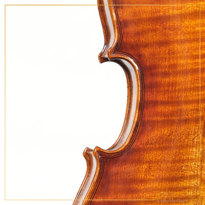 New Violin N5 1/4 | V19219