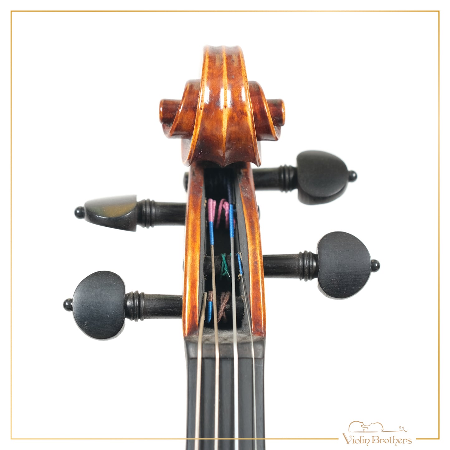 New Violin N5 1/4 | V19219