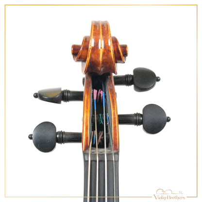 New Violin N5 1/4 | V19219