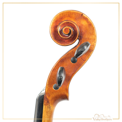 New Violin N5 1/4 | V19219