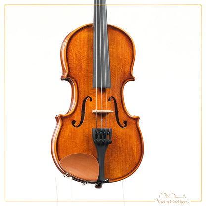 New Violin N1 1/10