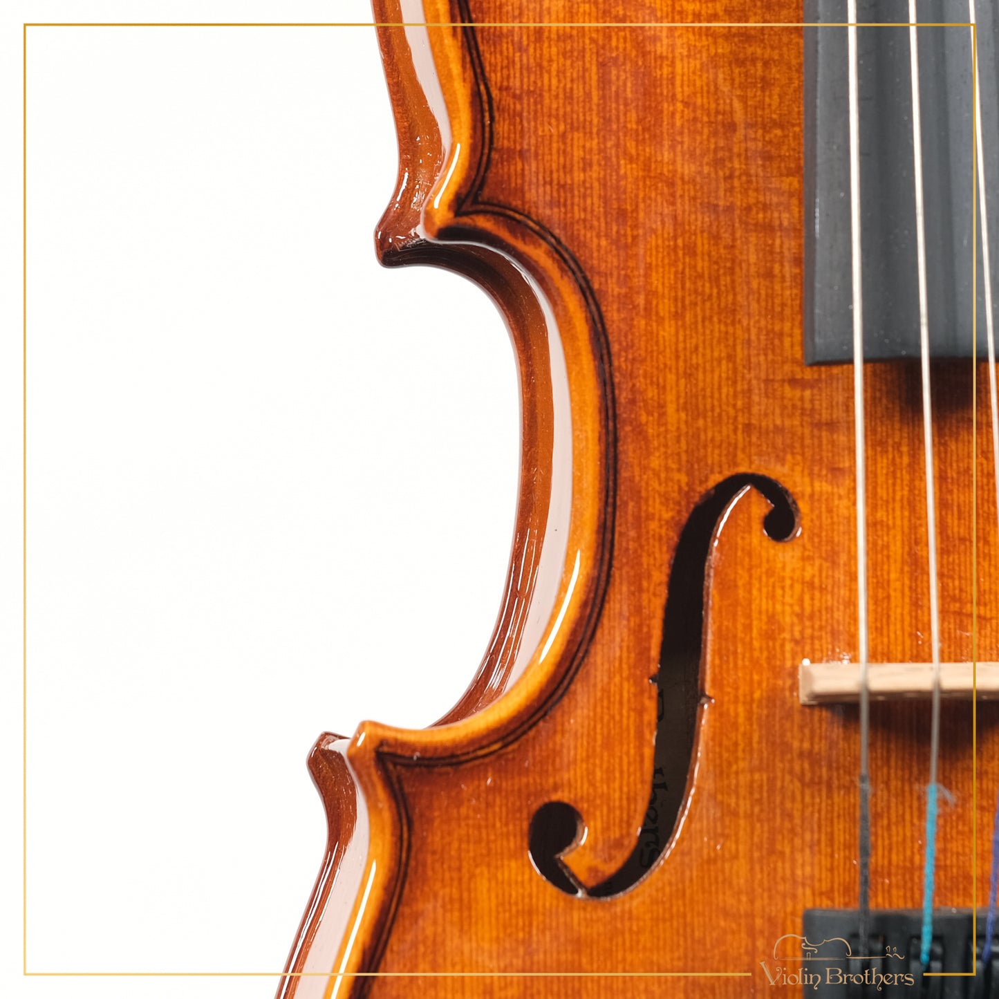 New Violin N1 1/10