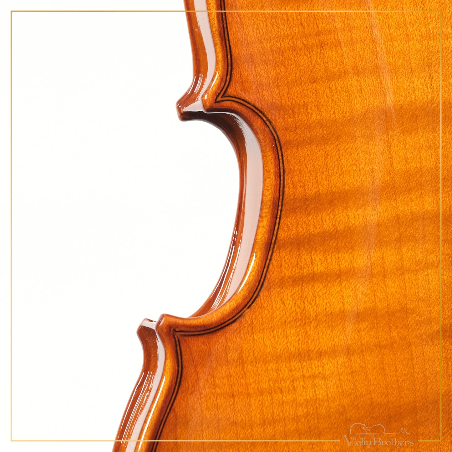New Violin N1 1/10