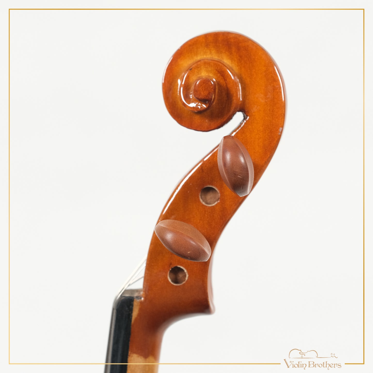 New Violin N1 1/10