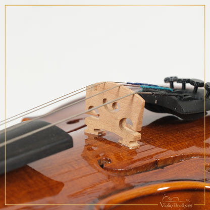 New Violin N1 1/10