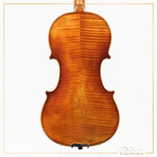 New Violin N5 4/4 | V19219