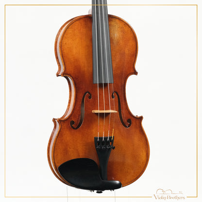 New Violin N5 4/4 | V19219