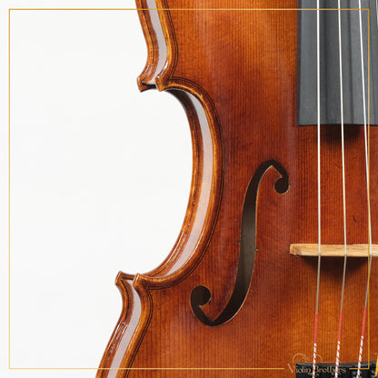 New Violin N5 4/4 | V19219