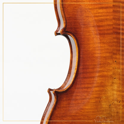 New Violin N5 4/4 | V19219
