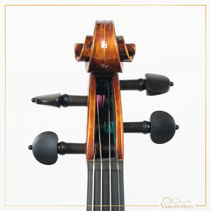 New Violin N5 4/4 | V19219
