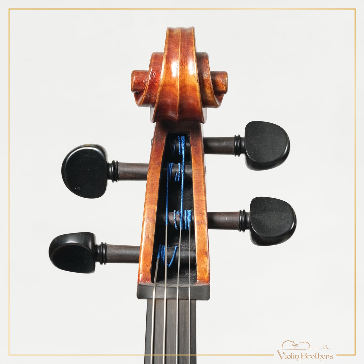 New Cello C2a