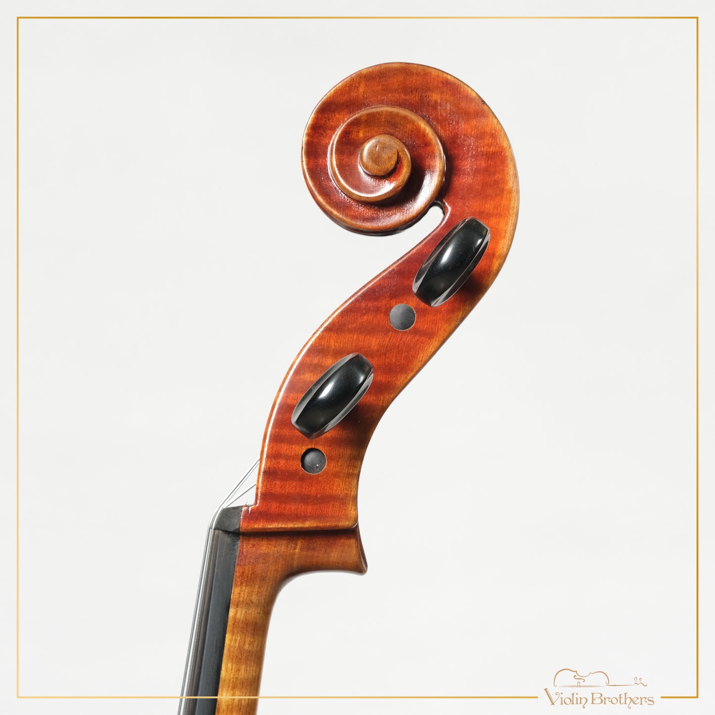 New Cello C2a