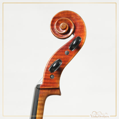 New Cello C2a