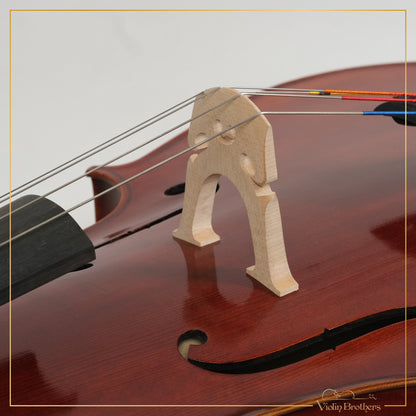 New Cello C2a