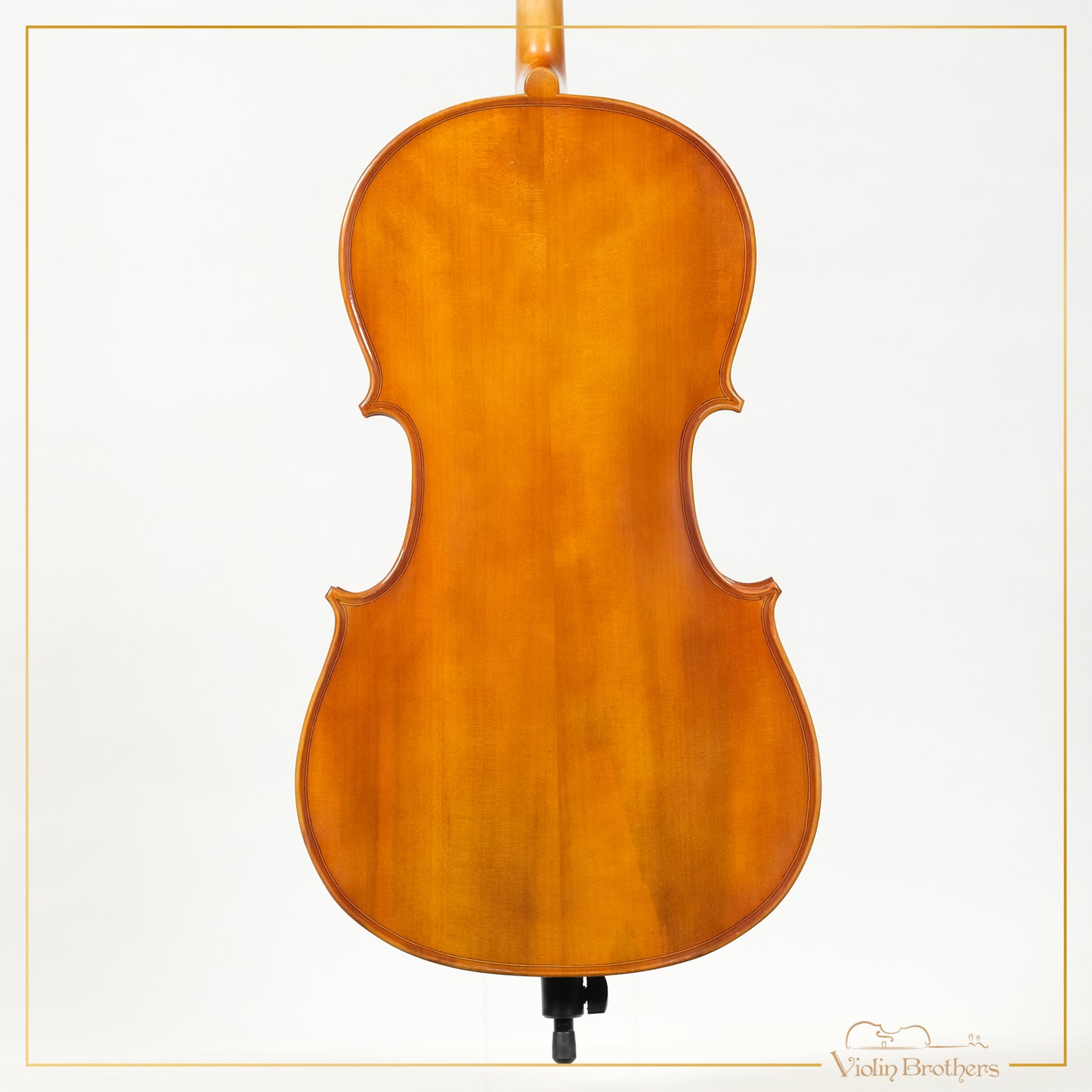 New Cello C1