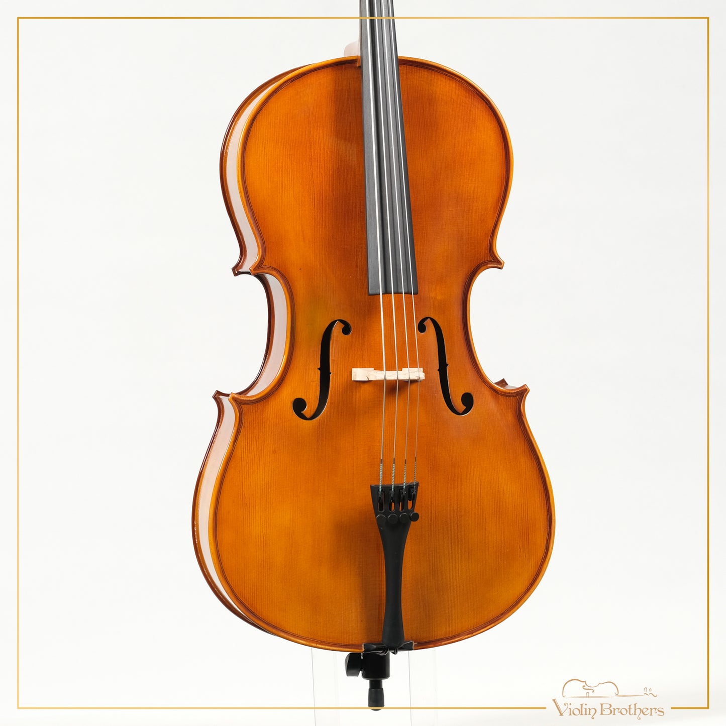 New Cello C1
