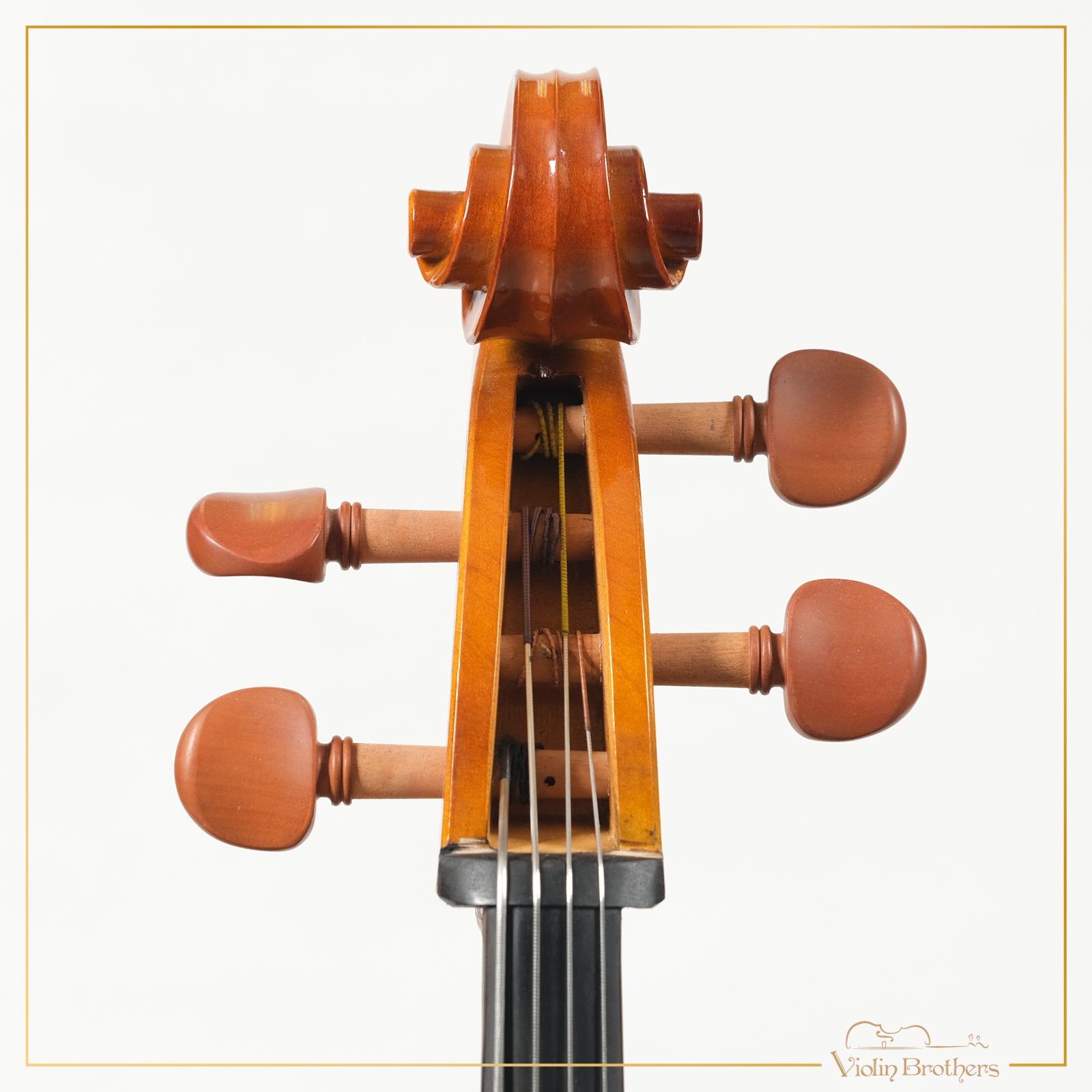 New Cello C1 – Violin Brothers