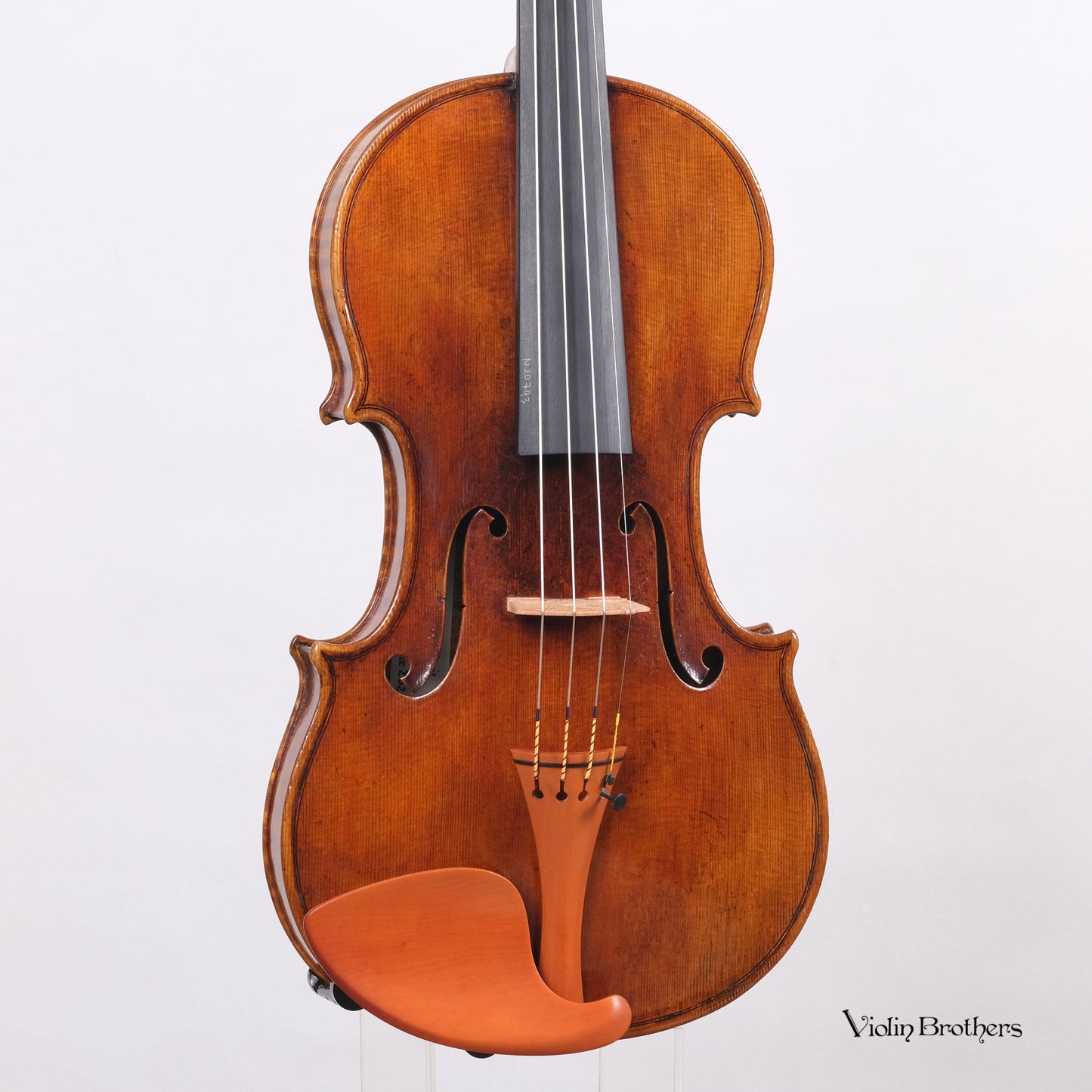 New Italian Violin - MaurizioTadioli model Stradivarius 1715 il Cremonese copy Cert | N20793