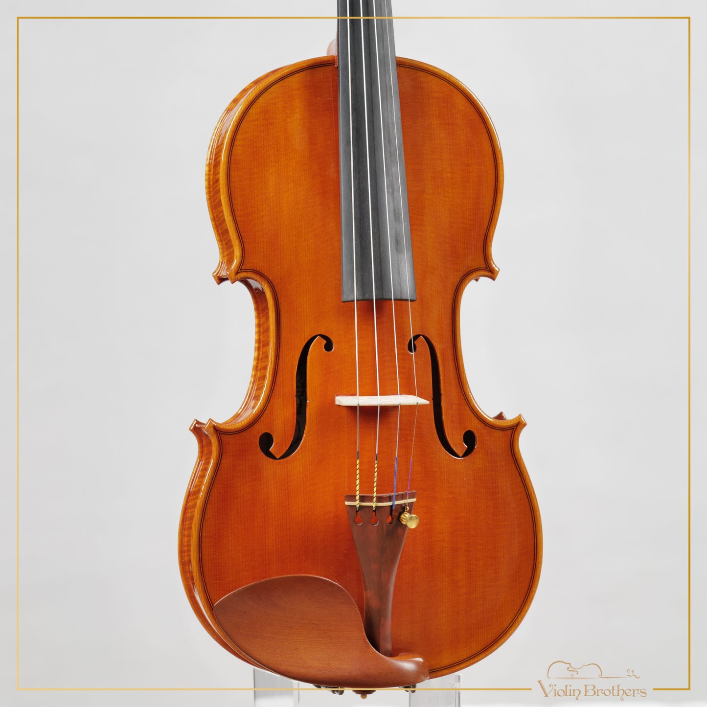 New Italian Violin - Luigi Schiav 2023 | N21043