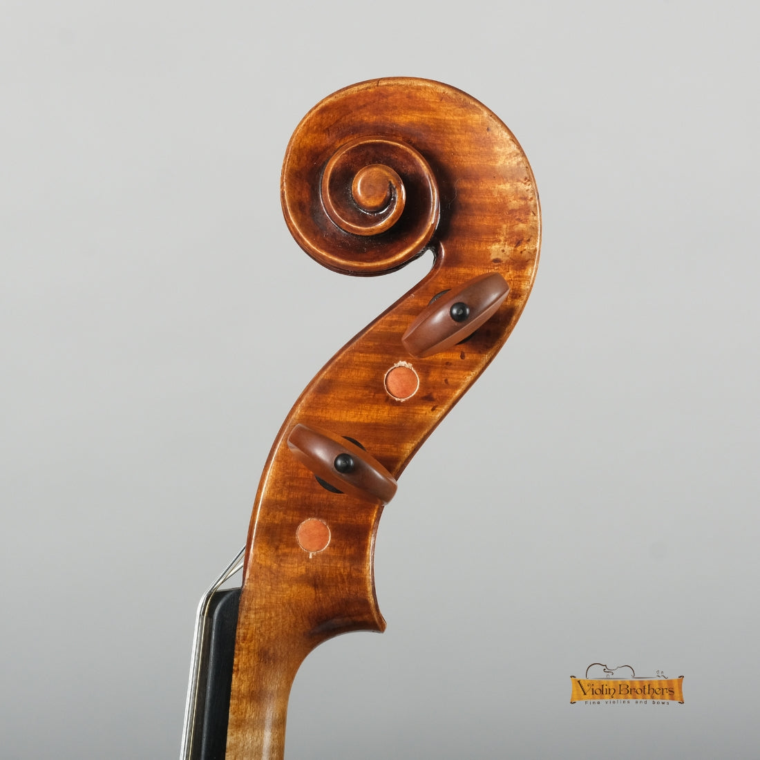 New Violin N8 4/4 | V28575