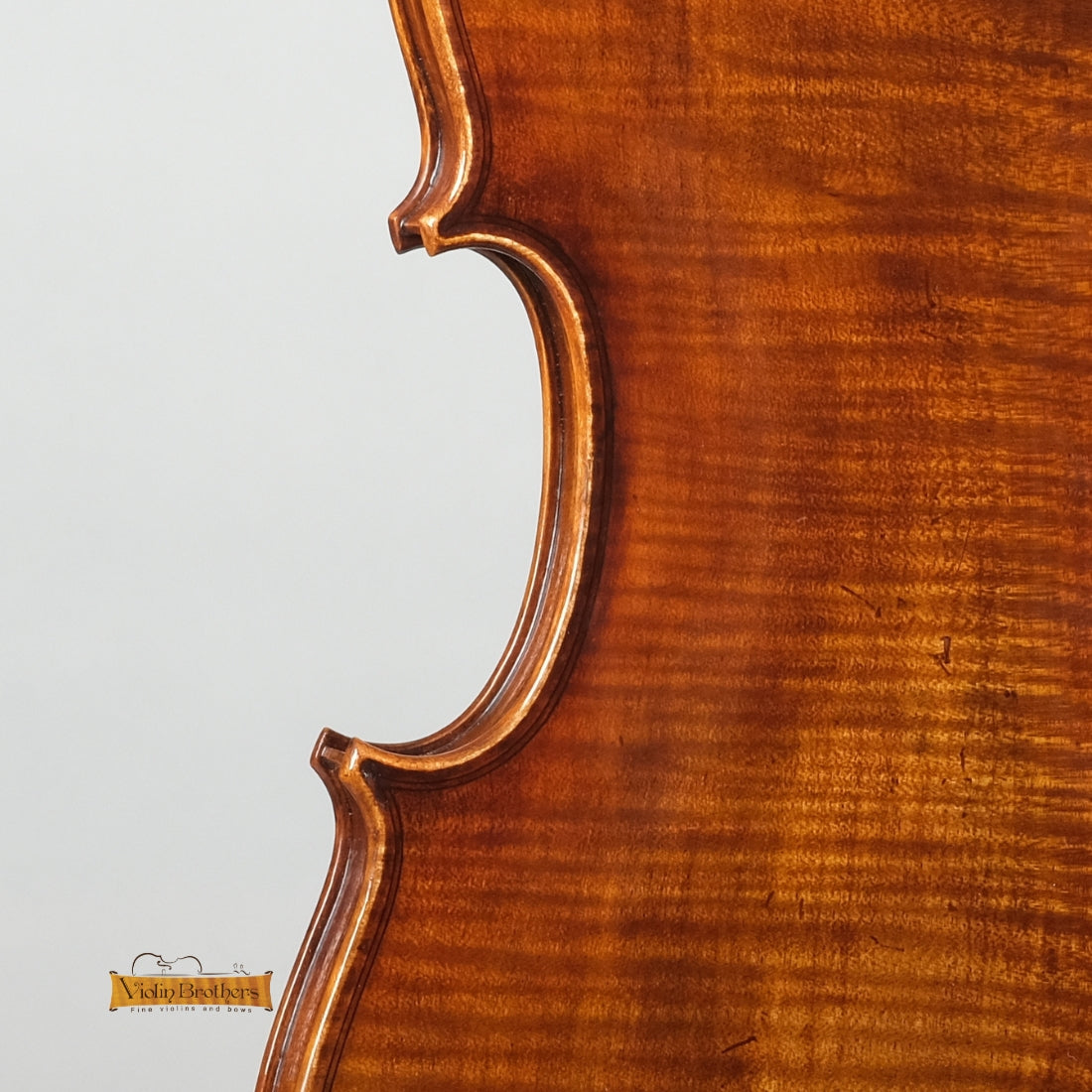 New Violin N8 4/4 | V28575
