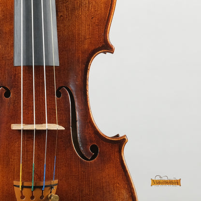 New Violin N7 4/4 | V28535