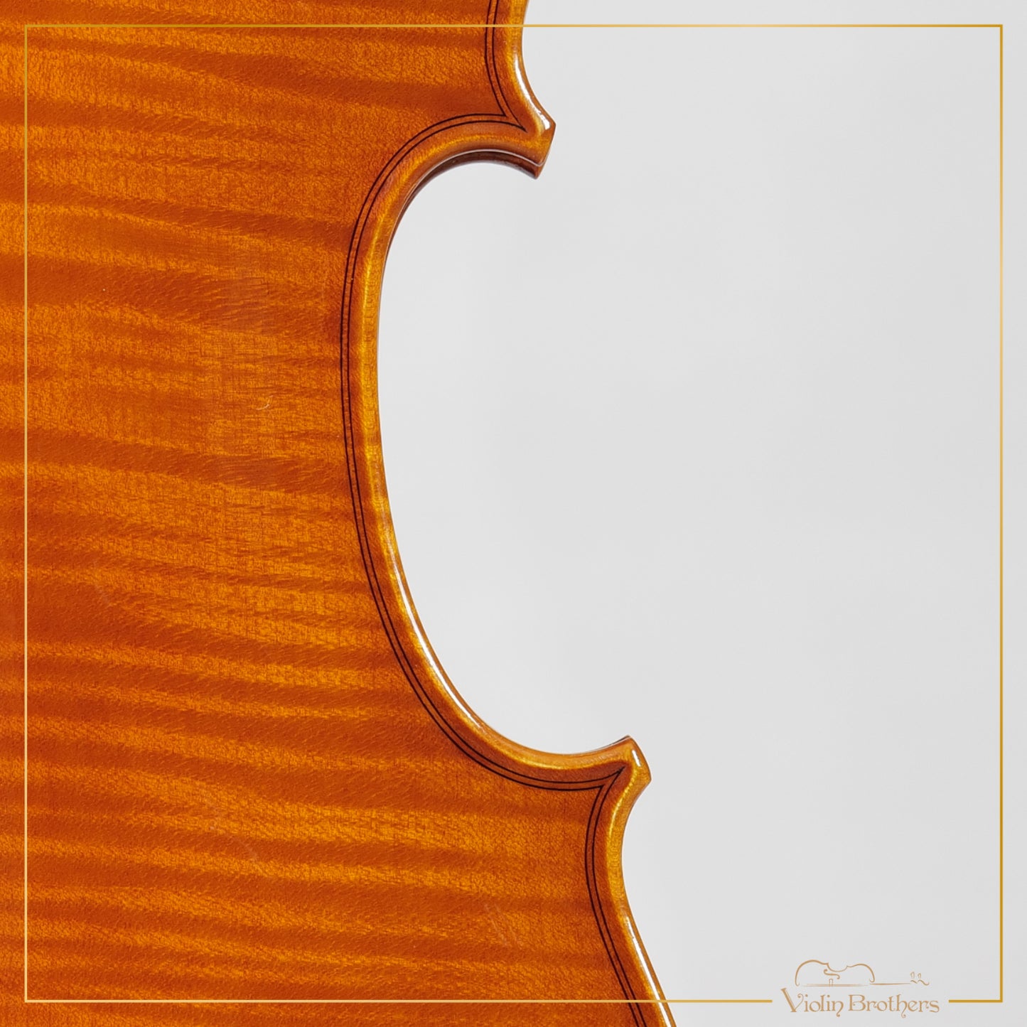 New Italian Violin - Fabrizio Portanti 1999 | N21486