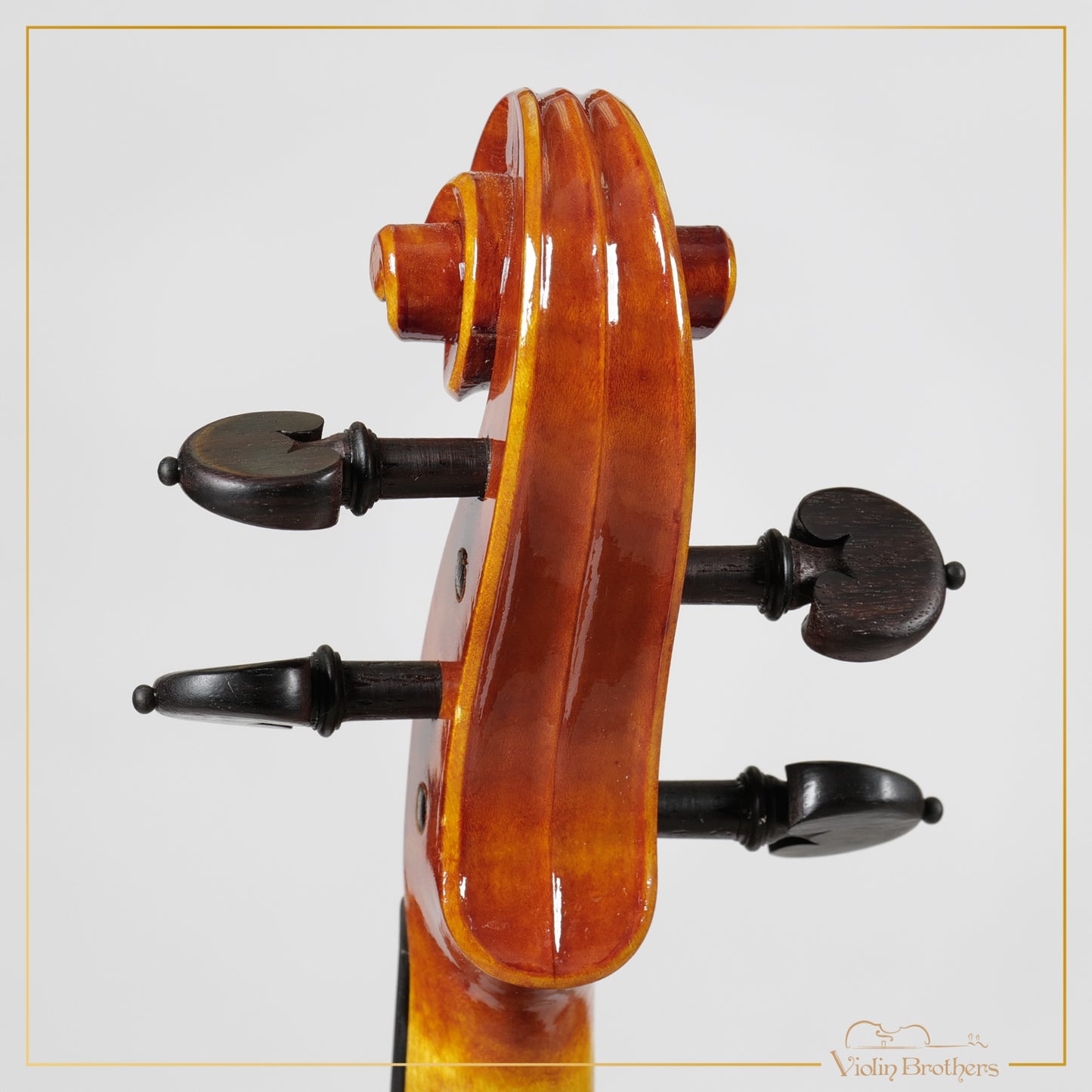 New Italian Violin - Luigi Aquilino 2025 | N21466