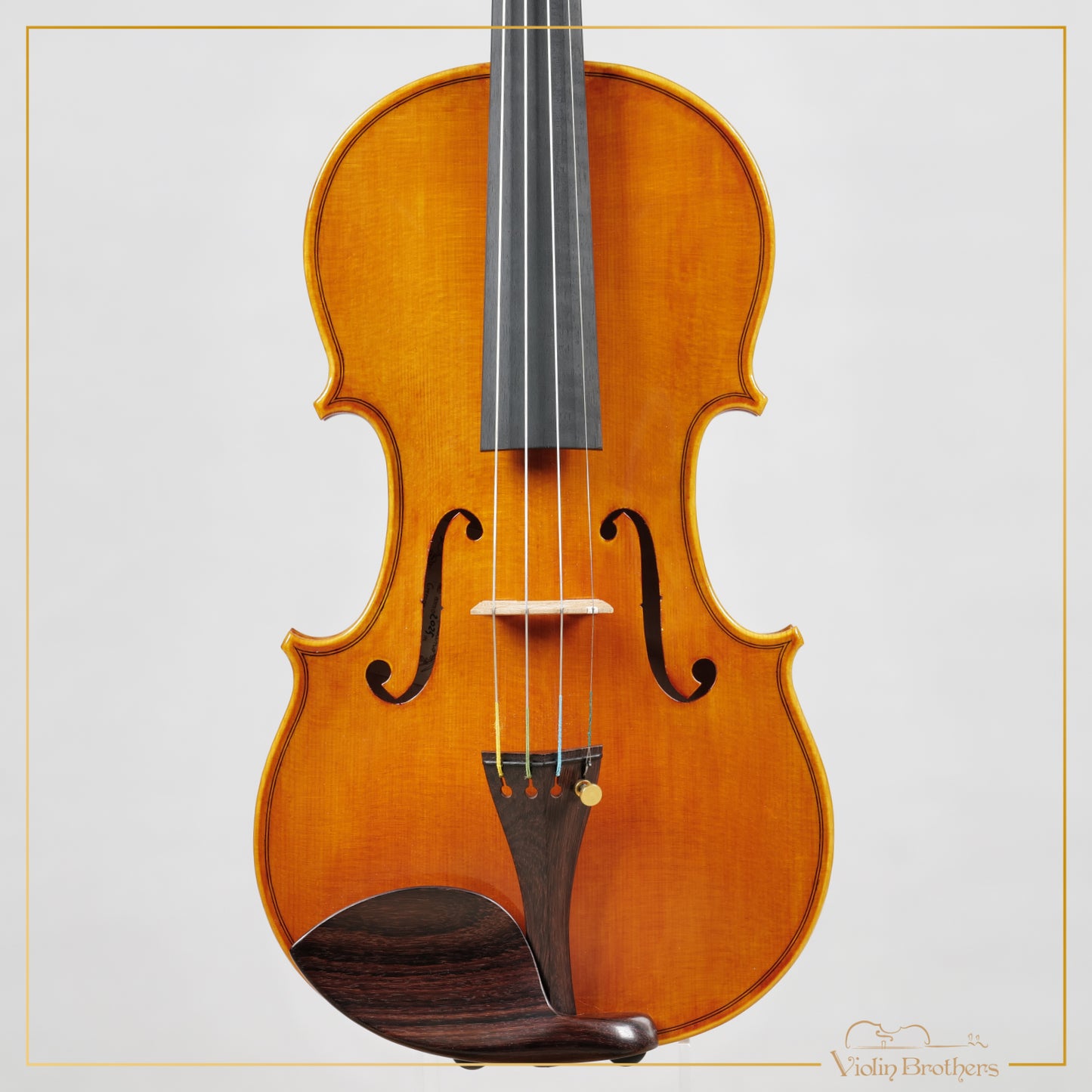 New Italian Violin - Luigi Aquilino 2025 | N21466