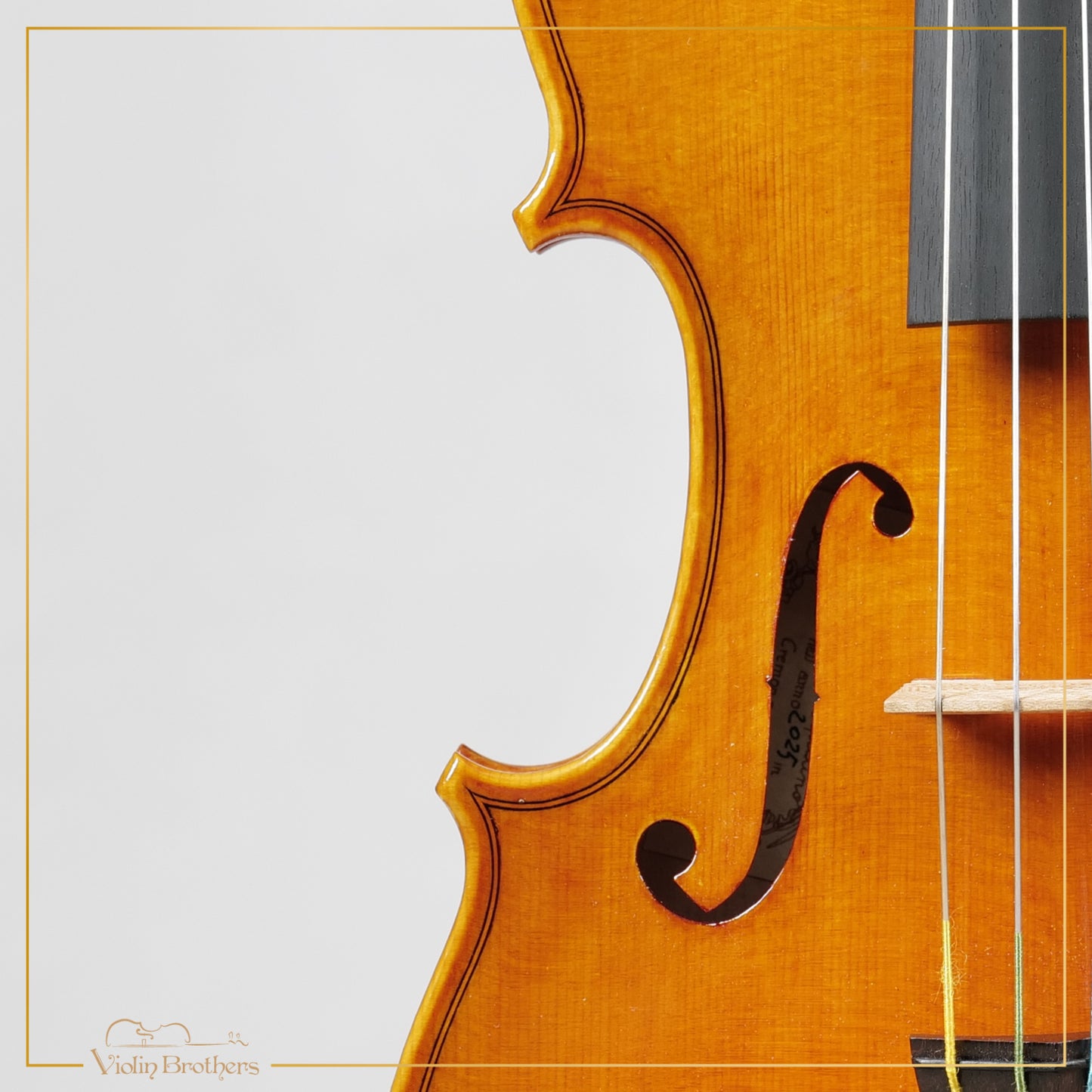 New Italian Violin - Luigi Aquilino 2025 | N21466