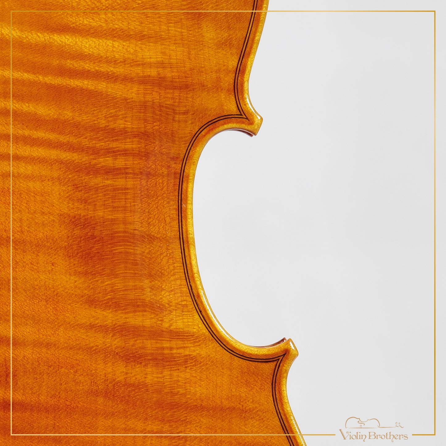 New Italian Violin - Luigi Aquilino 2025 | N21466