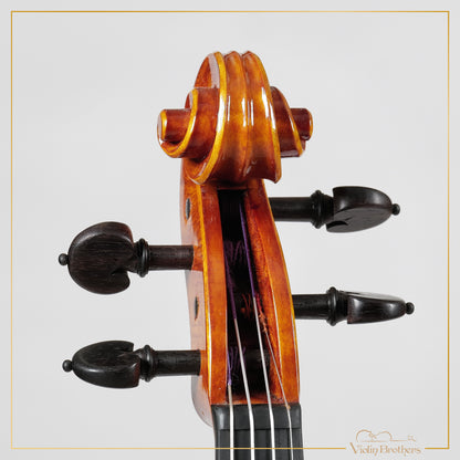 New Italian Violin - Luigi Aquilino 2025 | N21466